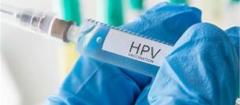 hpv